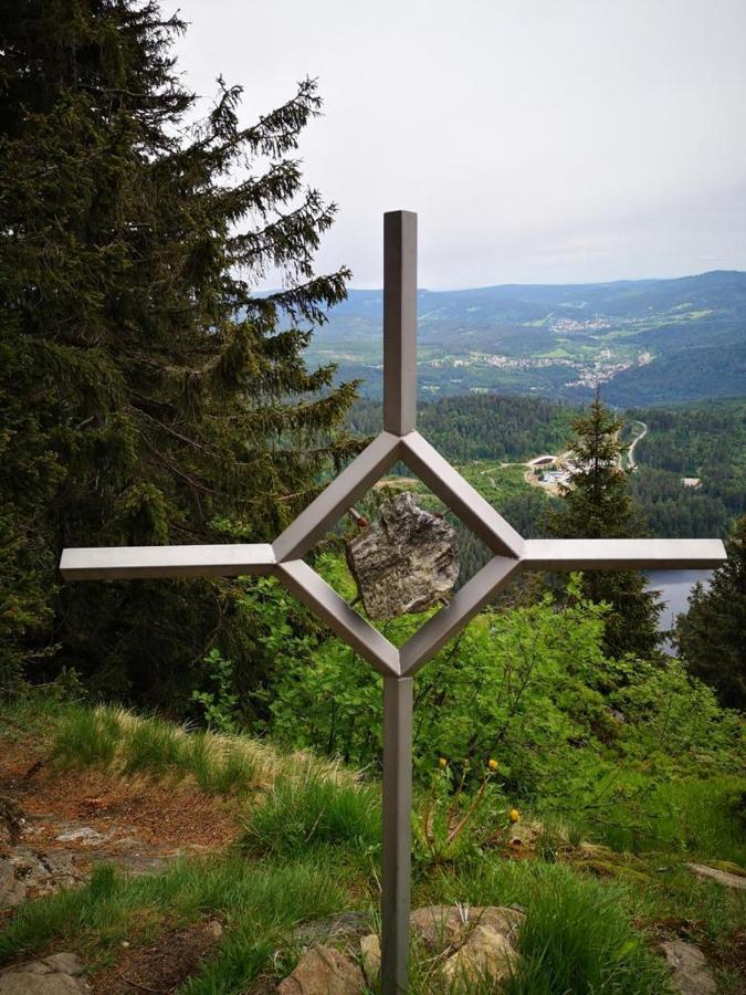 Idyllisch Gelegene Ferienwohnung Im Herzen Des Bayerischen Waldes Zachenberg Exteriör bild